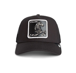 BASEBALL CAP STALLION TRUCKER VOID